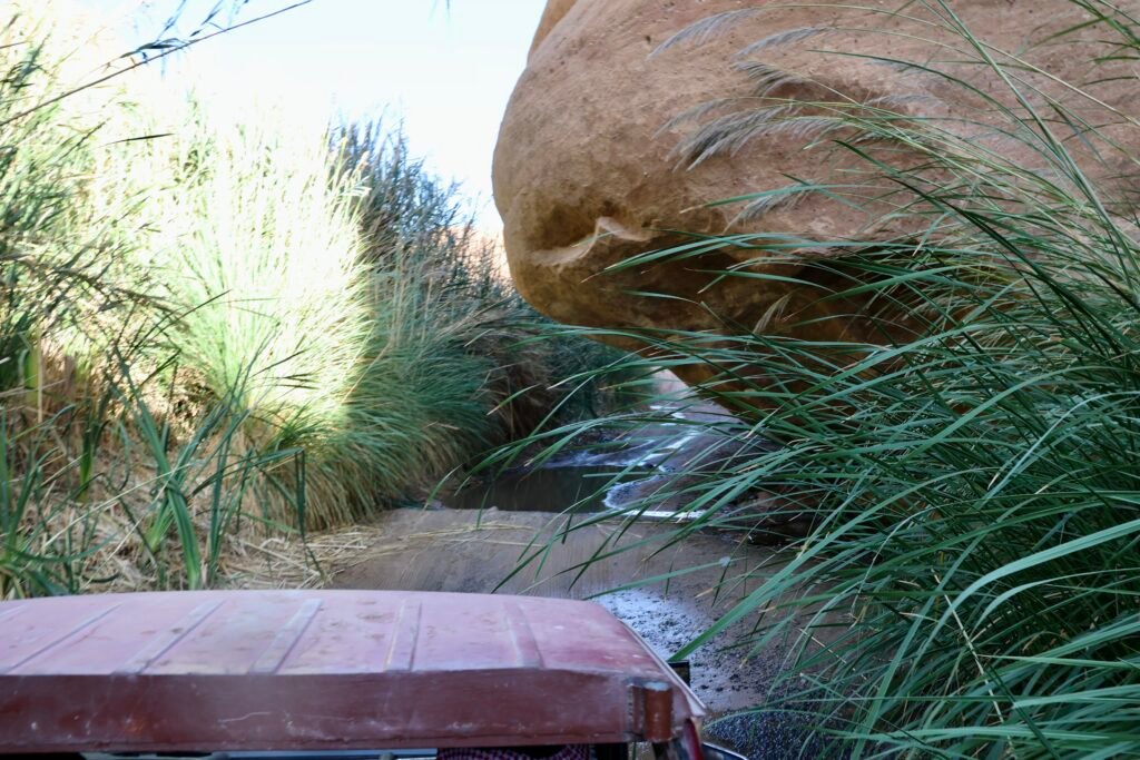 saoedi arabië 2025 11 06 (130)